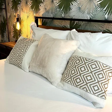 My Pad Provence Apartment Avignon